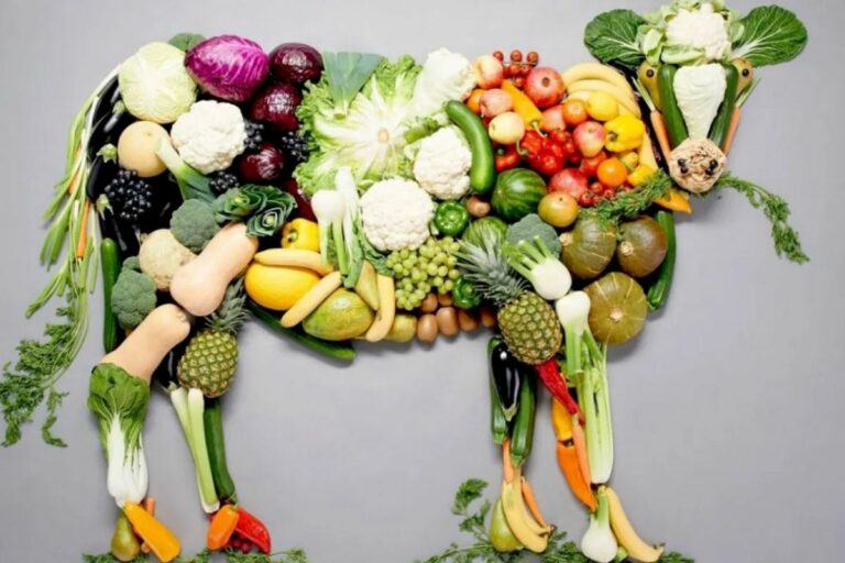 Veganismo: A produção de carne e laticínios é responsável por uma quantidade significativa de emissões de gases de efeito estufa, como metano e dióxido de carbono. Ao optar por uma dieta vegana, que exclui produtos de origem animal, é possível reduzir essas emissões. - *Exemplo:* Uma pessoa que adota uma dieta vegana pode reduzir sua pegada de carbono em até 50% em comparação com uma dieta baseada em carne.